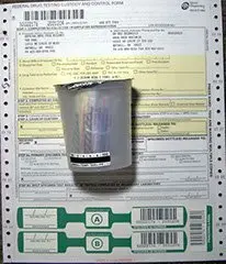 Comprehensive Lab Blood Work